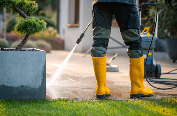 Best Specialty Cleaning in Frazier Park, CA